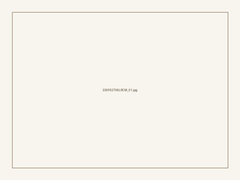 Bear Intarsia Rugby Shirt